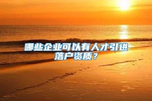 哪些企业可以有人才引进落户资质？