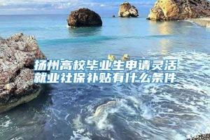 扬州高校毕业生申请灵活就业社保补贴有什么条件