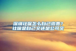 深圳社保怎么自己缴费？社保是自己交还是公司交