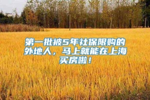 第一批被5年社保限购的外地人，马上就能在上海买房啦！