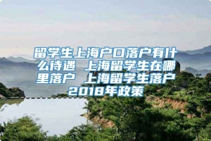 留学生上海户口落户有什么待遇 上海留学生在哪里落户 上海留学生落户2018年政策