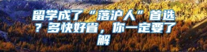 留学成了“落沪人”首选？多快好省，你一定要了解