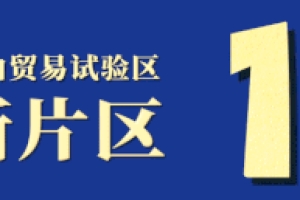 关于印发《中国（上海）自由贸易试验区临港新片区职业技能培训补贴实施细则》的通知