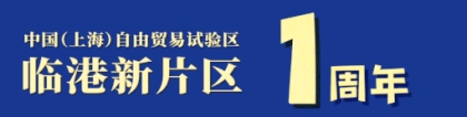 关于印发《中国（上海）自由贸易试验区临港新片区职业技能培训补贴实施细则》的通知