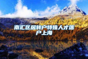 南汇区居转户特殊人才落户上海