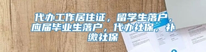 代办工作居住证，留学生落户，应届毕业生落户，代办社保，补缴社保