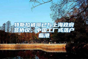 特斯拉被曝已与上海政府签协议，中国工厂或落户临港