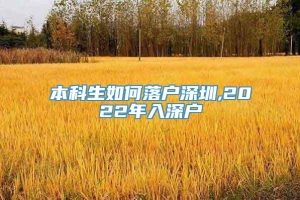 本科生如何落户深圳,2022年入深户