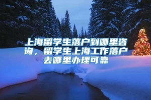 上海留学生落户到哪里咨询，留学生上海工作落户去哪里办理可靠