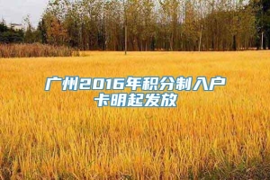 广州2016年积分制入户卡明起发放