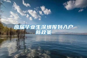 应届毕业生深圳报到入户新政策