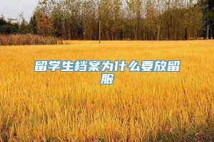 留学生档案为什么要放留服