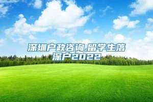 深圳户政咨询,留学生落深户2022