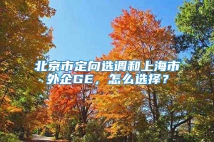 北京市定向选调和上海市外企GE，怎么选择？