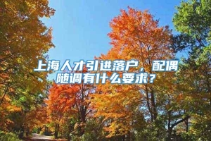 上海人才引进落户，配偶随调有什么要求？