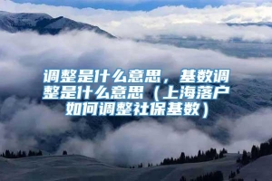 调整是什么意思，基数调整是什么意思（上海落户如何调整社保基数）