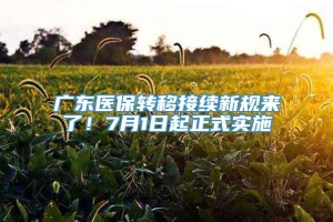 广东医保转移接续新规来了！7月1日起正式实施