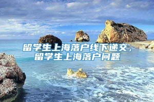 留学生上海落户线下递交，留学生上海落户问题