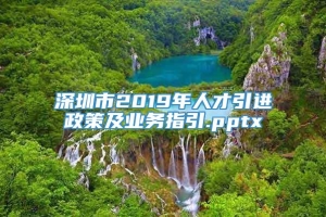 深圳市2019年人才引进政策及业务指引.pptx