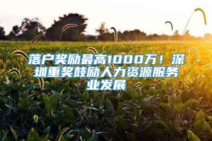 落户奖励最高1000万！深圳重奖鼓励人力资源服务业发展