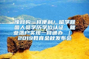 像网购一样便利！留学回国人员学历学位认证、就业落户实现一网通办 ｜ 2019教育金秋发布会③