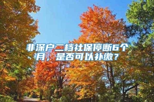 非深户二档社保停断6个月，是否可以补缴？