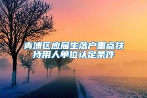 青浦区应届生落户重点扶持用人单位认定条件