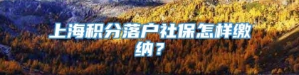 上海积分落户社保怎样缴纳？