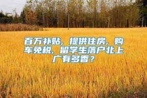 百万补贴, 提供住房, 购车免税, 留学生落户北上广有多香？