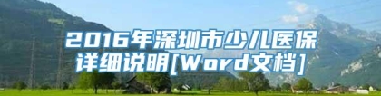 2016年深圳市少儿医保详细说明[Word文档]