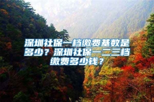 深圳社保一档缴费基数是多少？深圳社保一二三档缴费多少钱？