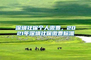 深圳社保个人缴费，2021年深圳社保缴费标准