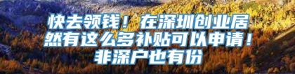 快去领钱！在深圳创业居然有这么多补贴可以申请！非深户也有份