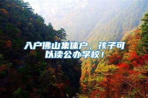 入户佛山集体户，孩子可以读公办学校！