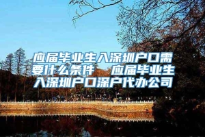 应届毕业生入深圳户口需要什么条件  应届毕业生入深圳户口深户代办公司