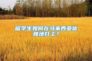 留学生如何在马来西亚优雅地打工？