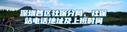 深圳各区社保分局、社保站电话地址及上班时间