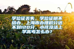 学位证丢失，学位证明不给办，上海市办理积分达不到120分，小孩没法上学高考怎么办？