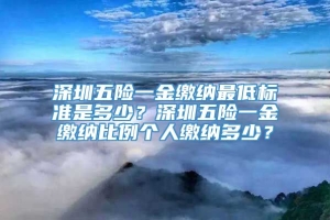 深圳五险一金缴纳最低标准是多少？深圳五险一金缴纳比例个人缴纳多少？