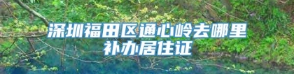 深圳福田区通心岭去哪里补办居住证