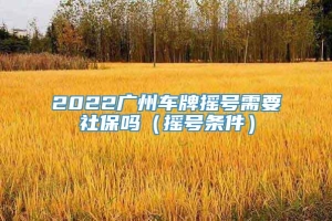 2022广州车牌摇号需要社保吗（摇号条件）