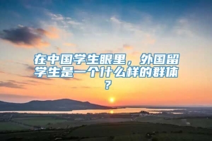 在中国学生眼里，外国留学生是一个什么样的群体？