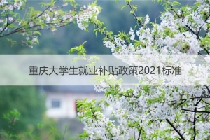 重庆大学生就业补贴政策2021标准  重庆应届生就业补贴怎么申请