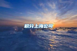 积分上海公司