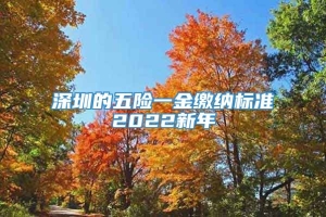 深圳的五险一金缴纳标准2022新年