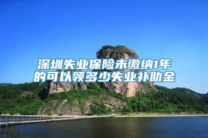 深圳失业保险未缴纳1年的可以领多少失业补助金