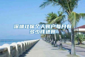 深圳社保个人账户每月有多少钱进账