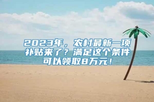 2023年，农村最新一项补贴来了？满足这个条件可以领取8万元！