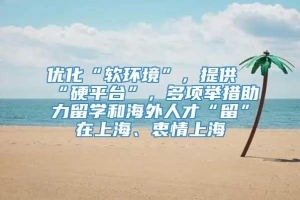 优化“软环境”，提供“硬平台”，多项举措助力留学和海外人才“留”在上海、衷情上海