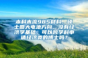 本科末流985材料，硕士厦大电池方向，没有经济学基础，可以跨学科申请经济类的博士吗？